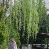 Aile Danışmanı Meryem Kurt