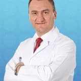 Prof. Dr. Mesut Yılmaz